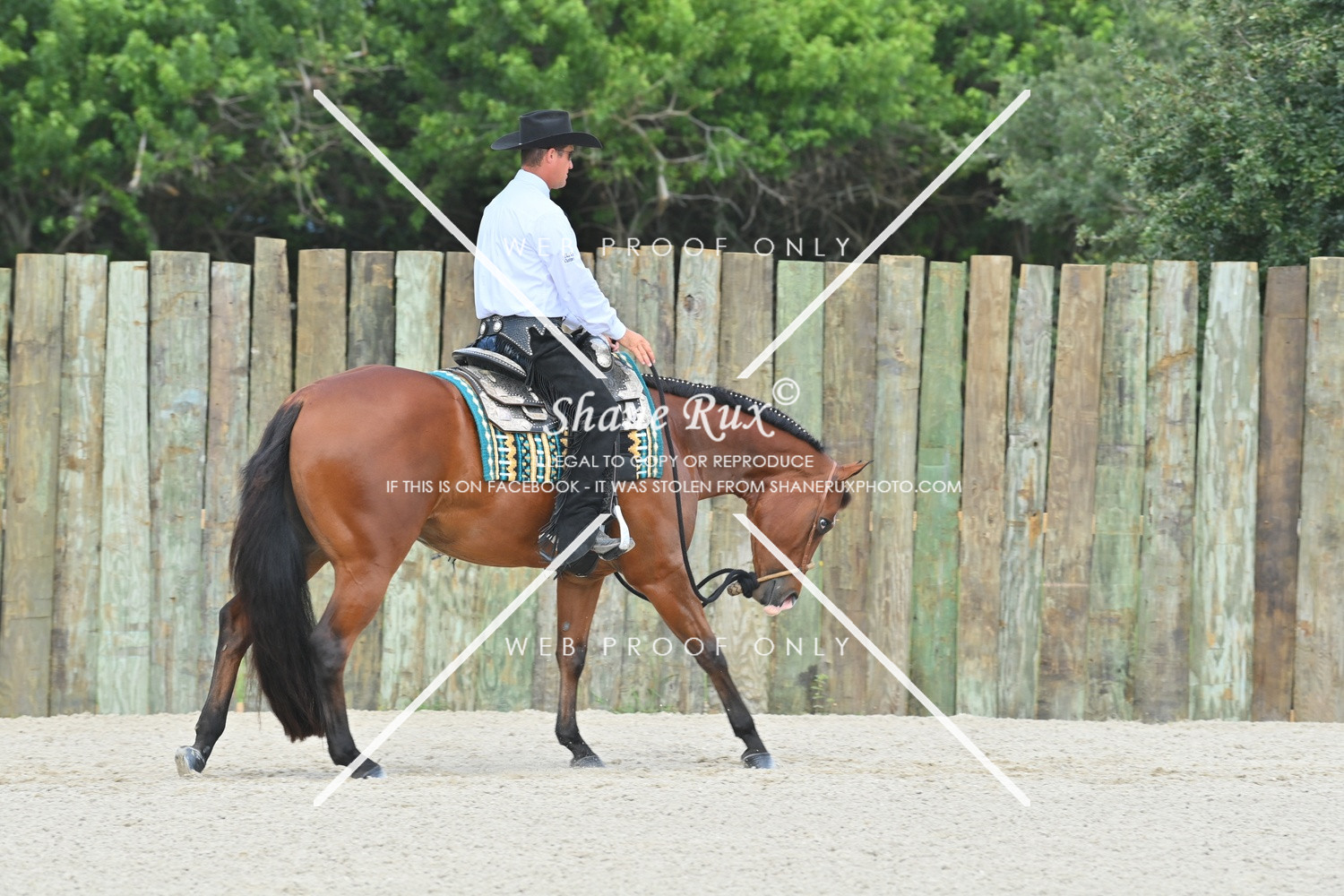 HOLBIN FARM SHOOT - Proofs - http://www.shaneruxphoto.com