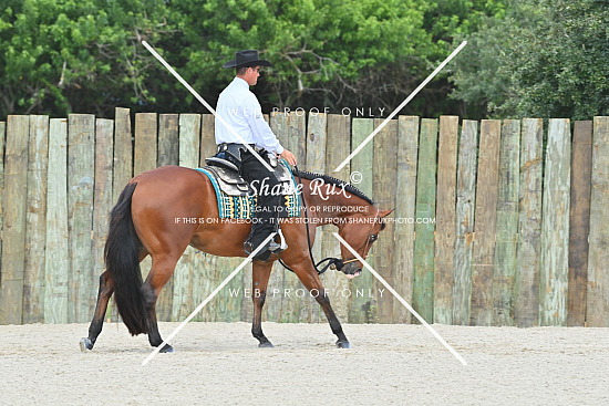 HOLBIN FARM SHOOT